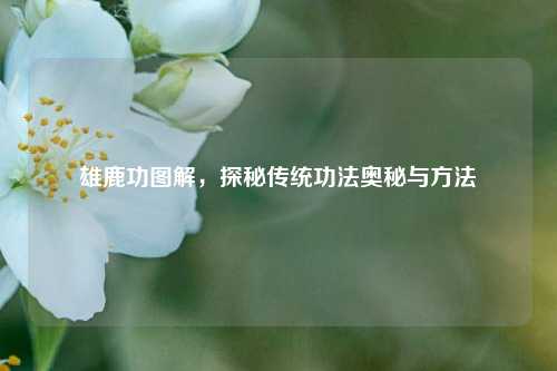雄鹿功图解,探秘传统***奥秘与