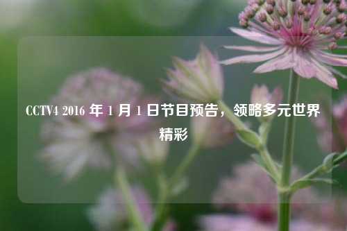 CCTV4 2016 年 1 月 1 日节目预告,领略多元世界精彩
