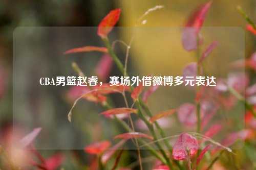CBA男篮赵睿,赛场外借微博多元表达