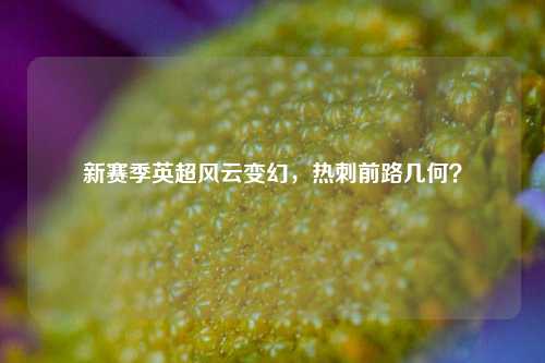 新赛季英超风云变幻,热刺前路几何?