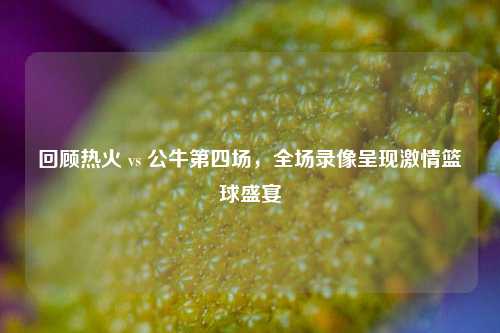 回顾热火 vs 公牛第四场,全场录像呈现***篮球盛宴