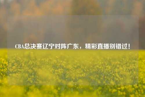 CBA总决赛辽宁对阵广东,精彩直播别错过!