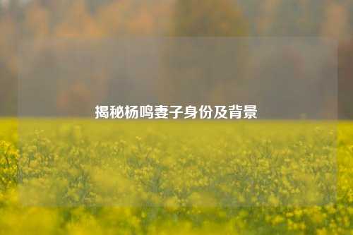 揭秘杨鸣妻子身份及背景