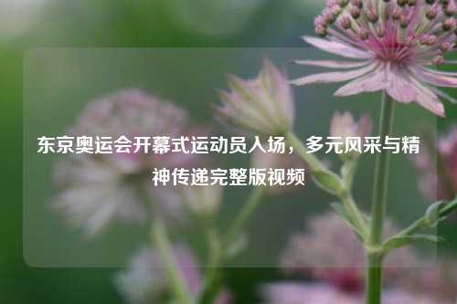 东京奥运会开幕式运动员入场,多元风采与精神传递完整版视频