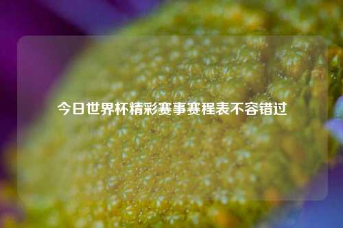 今日世界杯精彩赛事赛程表不容错过