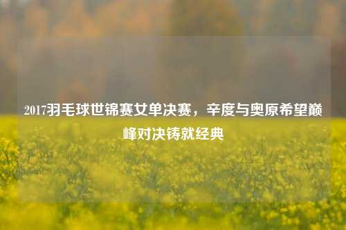 2017羽毛球世锦赛女单决赛,辛度与奥原希望巅峰对决铸就经典
