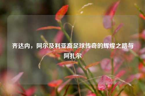 齐达内,阿尔及利亚裔足球传奇的辉煌之路与阿扎尔