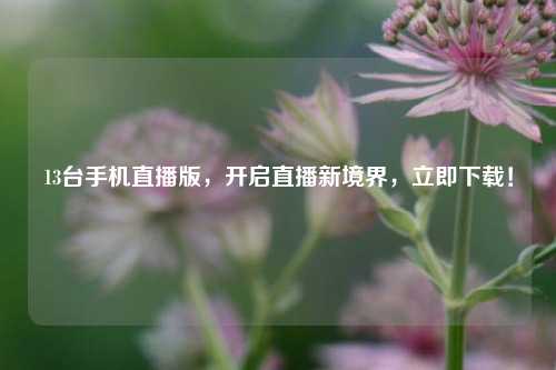 13台手机直播版,开启直播新境界,立即下载!
