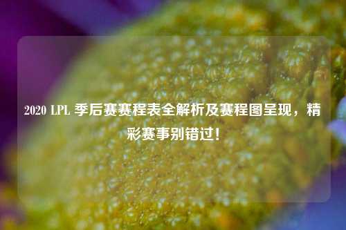 2020 LPL 季后赛赛程表全解析及赛程图呈现,精彩赛事别错过!