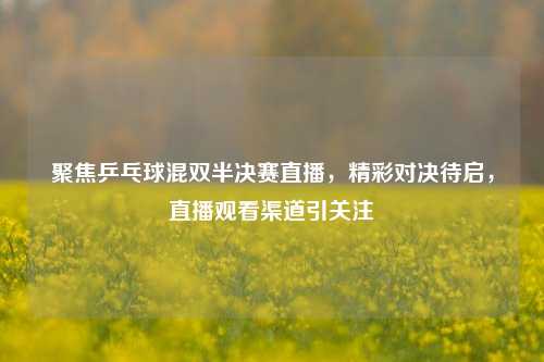 聚焦乒乓球混双半决赛直播,精彩对决待启,直播观看渠道引关注