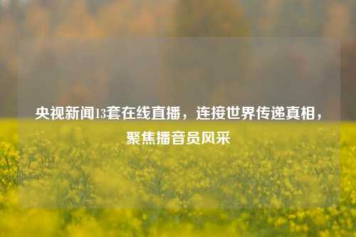央视新闻13套在线直播,连接世界传递真相,聚焦播音员风采