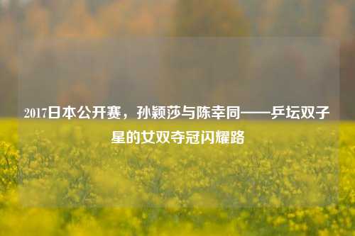 2017日本公开赛,孙颖莎与陈幸同——乒坛双子星的女双夺冠闪耀路
