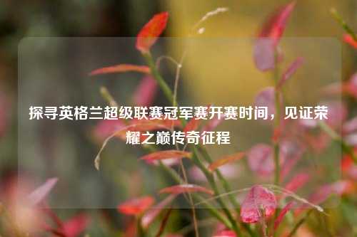 探寻英格兰超级联赛冠军赛开赛时间,见证荣耀之巅传奇征程