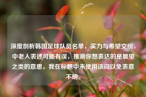 深度剖析韩国足球队员名单,实力与希望交织,中老人表述可能有误,推测你想表达的是展望之类的意思,我在标题中未使用该词以免表意不明。