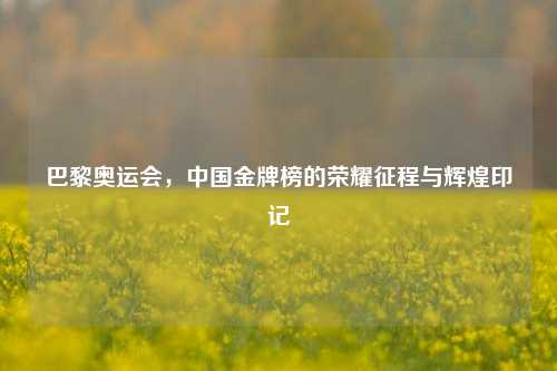巴黎奥运会,中国金牌榜的荣耀征程与辉煌印记