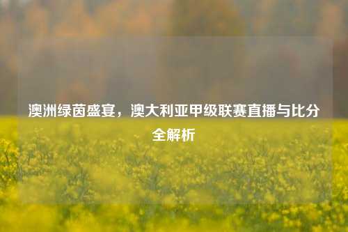 澳洲绿茵盛宴,澳大利亚甲级联赛直播与比分全解析
