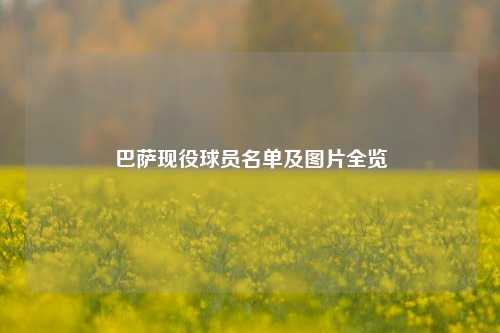 巴萨现役球员名单及图片全览