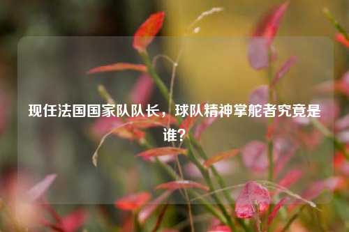 现任法国国家队队长,球队精神掌舵者究竟是谁?