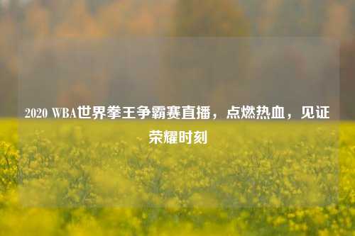 2020 WBA世界拳王争霸赛直播,点燃热血,见证荣耀时刻