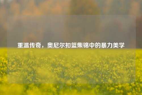 重温传奇,奥尼尔扣篮集锦中的暴力美学