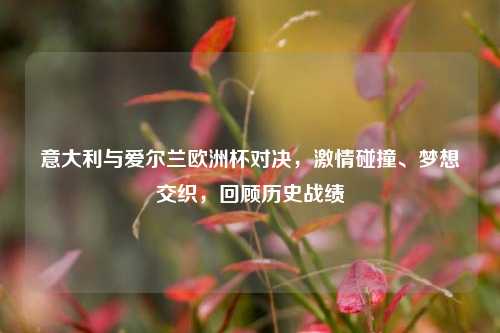 意大利与爱尔兰欧洲杯对决,***碰撞、梦想交织,回顾历史战绩