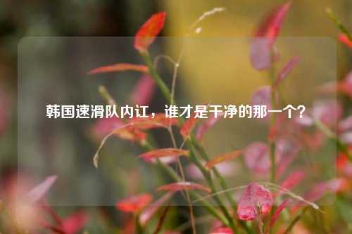 韩国速滑队内讧,谁才是干净的那一个?