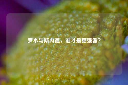 罗本与斯内德,谁才是更强者?
