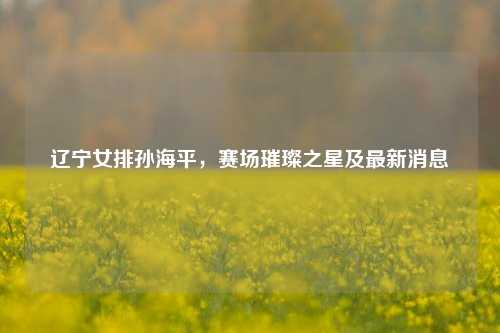 辽宁女排孙海平,赛场璀璨之星及最新消息