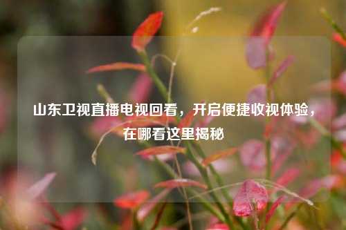 山东卫视直播电视回看,开启便捷收视体验,在哪看这里揭秘