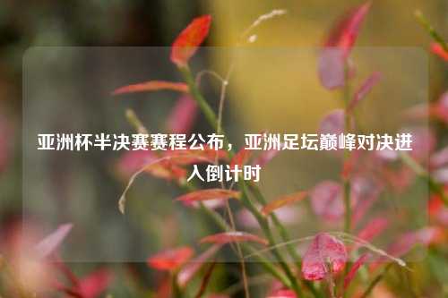 亚洲杯半决赛赛程公布,亚洲足坛巅峰对决进入倒计时