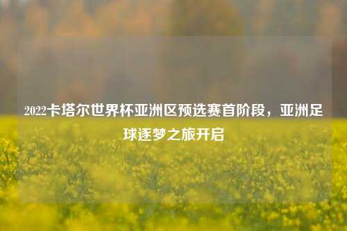 2022卡塔尔世界杯亚洲区预选赛首阶段,亚洲足球逐梦之旅开启